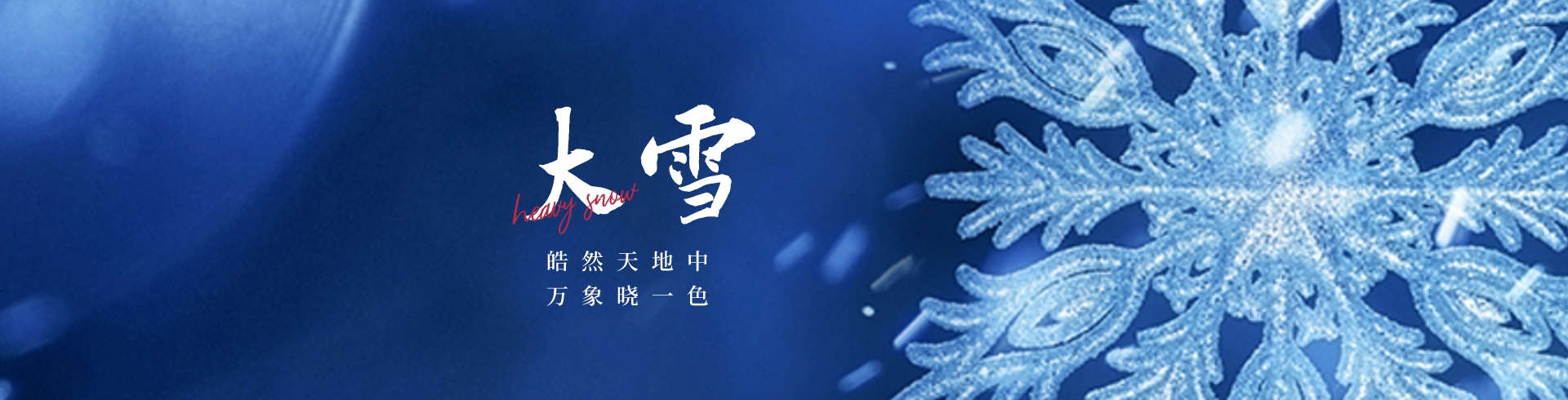 大雪 PC端