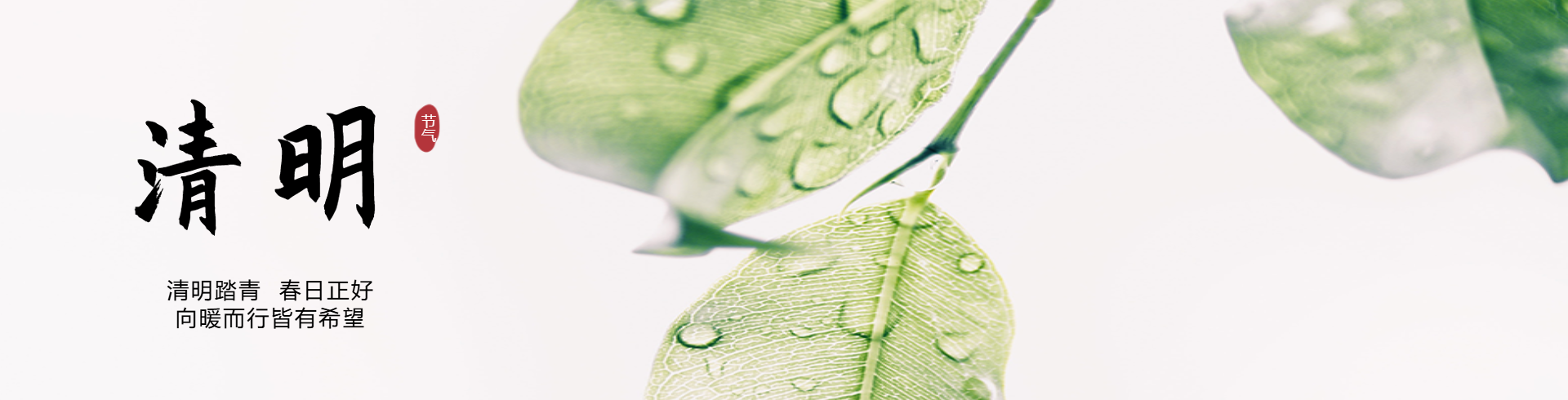 清明 PC端